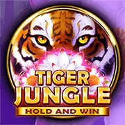 Hỗ trợ khách hàng chuyên nghiệp của ku11bet nhà cái