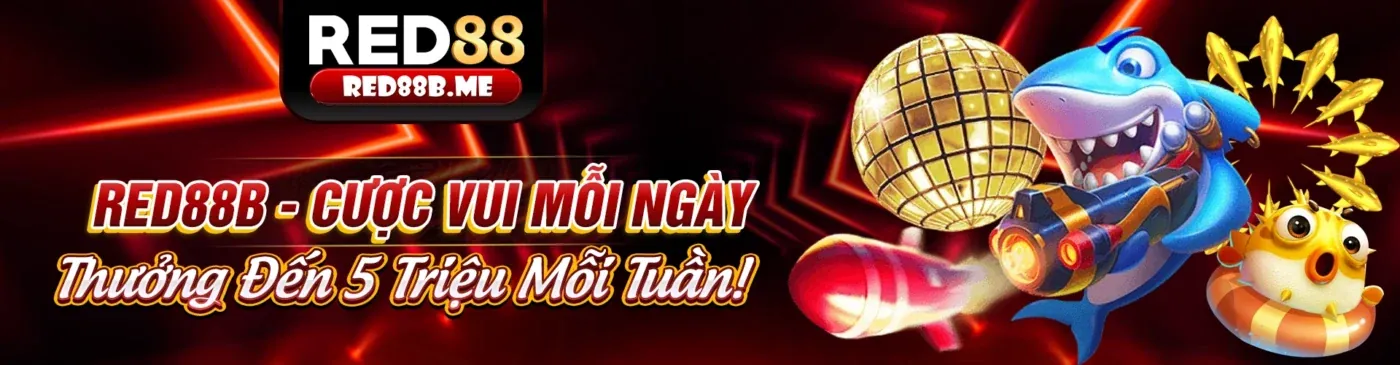 Chính sách quyền riêng tư của ku11bet nhà cái